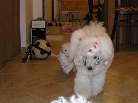 ... a tak chytám mámu DORLY....